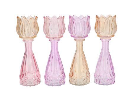 <h4>Bicolore Dreamy Pastel Mix Tulip Vase Ass 7x22cm N</h4>