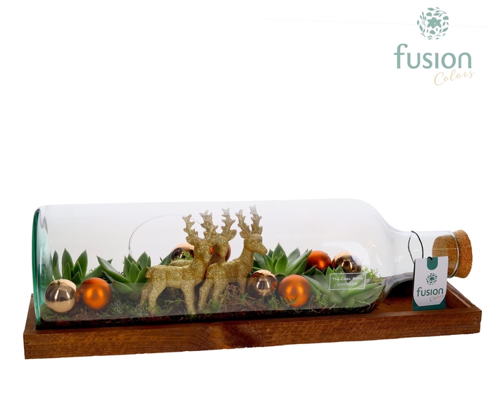 <h4>Green Bottle Fles Large liggend Kerst met Arrangement</h4>