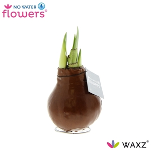 No Water Flowers Waxz® Metallic Copper