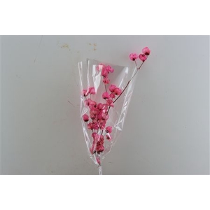 Dried Bougainvillea X5 55cm Cerise Bunch