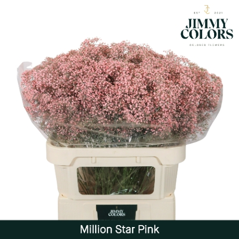 <h4>Gyps Million Star L80 Pink</h4>
