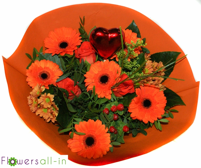 <h4>M202405-oranje</h4>