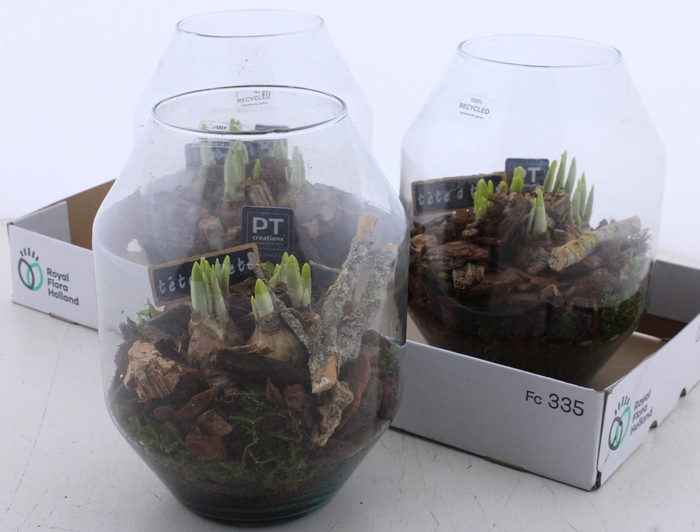 <h4>ARR N TETE A TETE</h4>