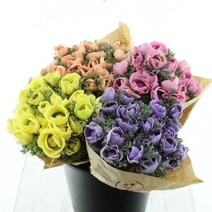 Anemone Powder Mix In Th Bucket