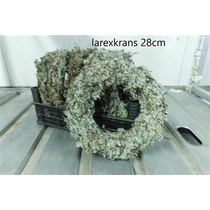 Krans Dry Larix 28cm