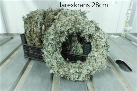 Krans Dry Larix 28cm