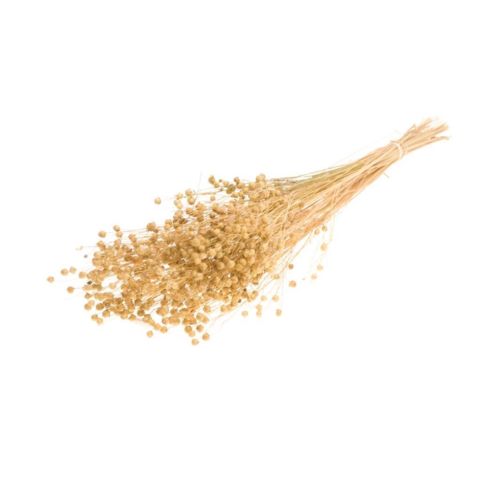 <h4>Linum Natural</h4>