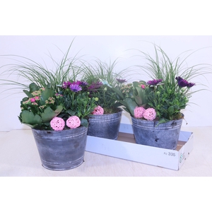 ARR TUINPLANTEN