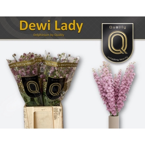 DELPH DU DEWI LADY 60CM X40