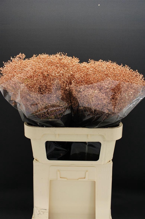 <h4>Gyps Fijn Koper</h4>