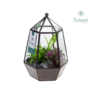 Planter Geometrisch met Terarrium arrangement