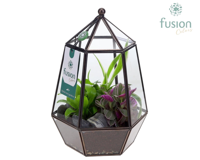 <h4>Planter Geometrisch met Terarrium arrangement</h4>