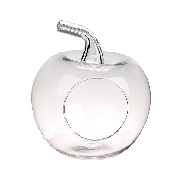 <h4>Terrarium Apple Felesa d19xh21 clear</h4>