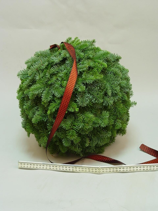 <h4>Nobilis ballen diameter 75cm besneeuwd</h4>