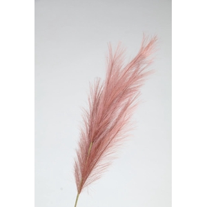 Af Pampas 100cm Burgundy