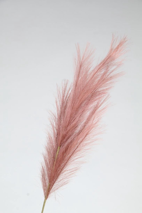 <h4>Af Pampas 100cm Burgundy</h4>