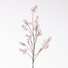 AF Rosehip Coral 123cm Oran/Re
