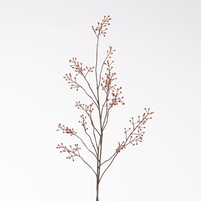 <h4>Af Rosehip Coral 123cm Oran/re</h4>