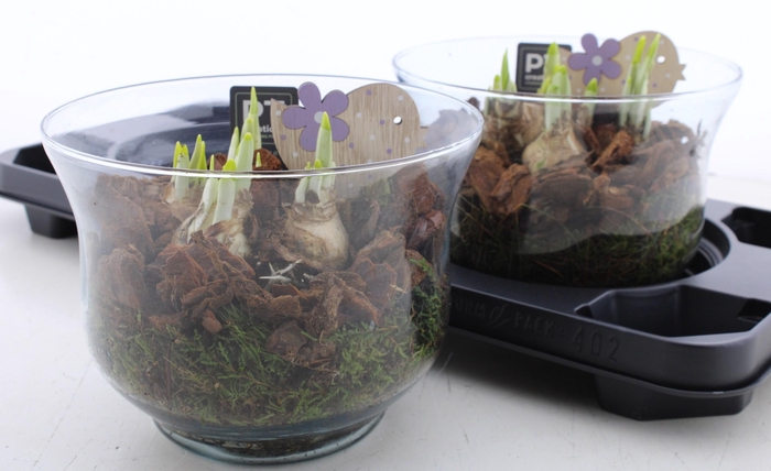 <h4>ARR N TETE A TETE</h4>