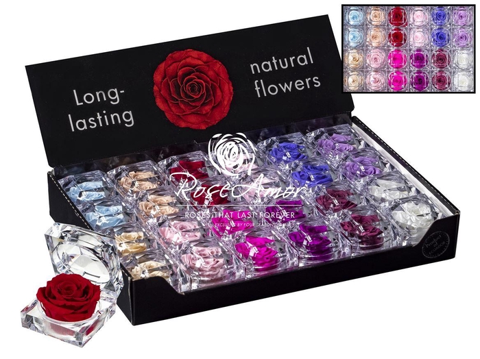 <h4>Display Jewel Assorted Pastel</h4>