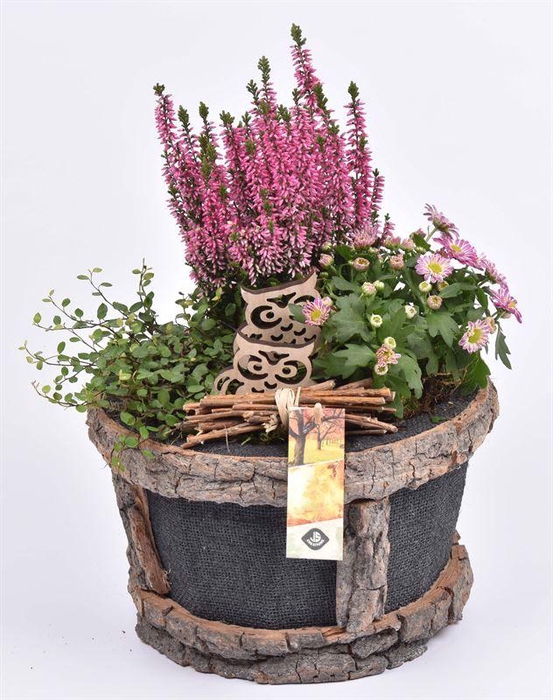 <h4>Boomschors pot met jute 23cm</h4>