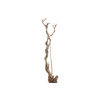 Syringa Branch Extra Beck