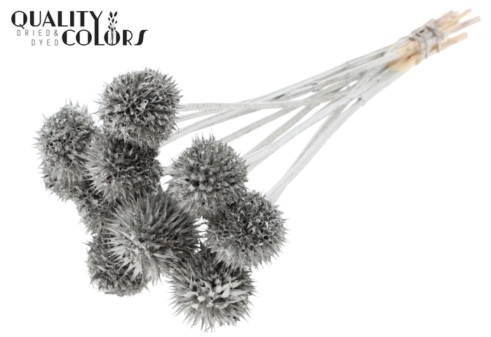 <h4>Droogbloemen   ...bewerkt H%</h4>