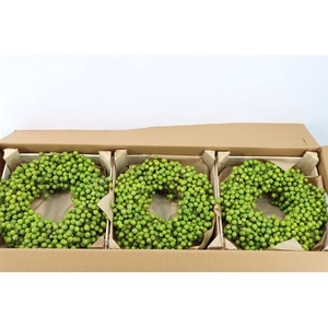 Wr Sierfruit Lilac De Chine 30cm
