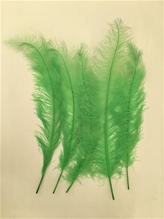 <h4>Feather Ostrich Feathers 55cm 5 Pcs Lime Green</h4>