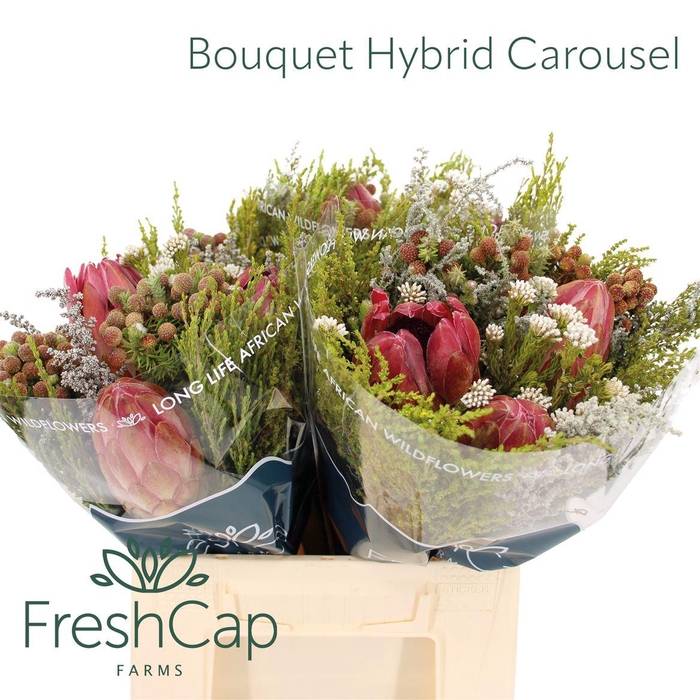 <h4>Bouquet Hybrid Carousel</h4>