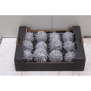 F-stekel Glitters Zilver