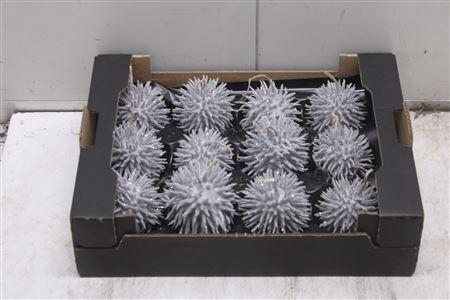 <h4>F-stekel Glitters Zilver</h4>