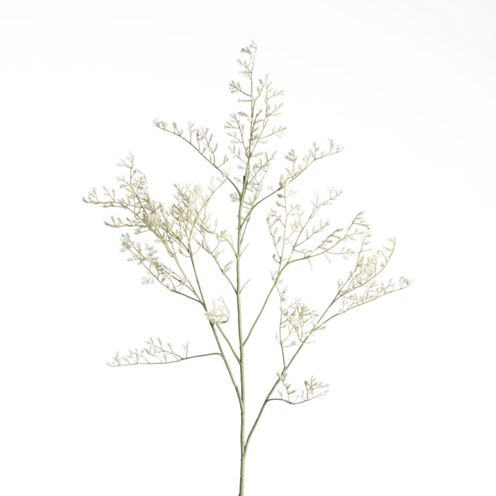 AF Limonium L82cm White