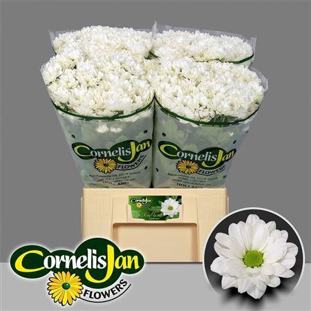 <h4>CHR T RESQ WHITE</h4>