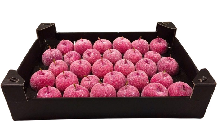 <h4>Waxappel Gl Fuchsia</h4>