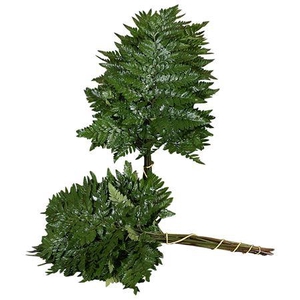 Lederv. Medium X5 Flowpack