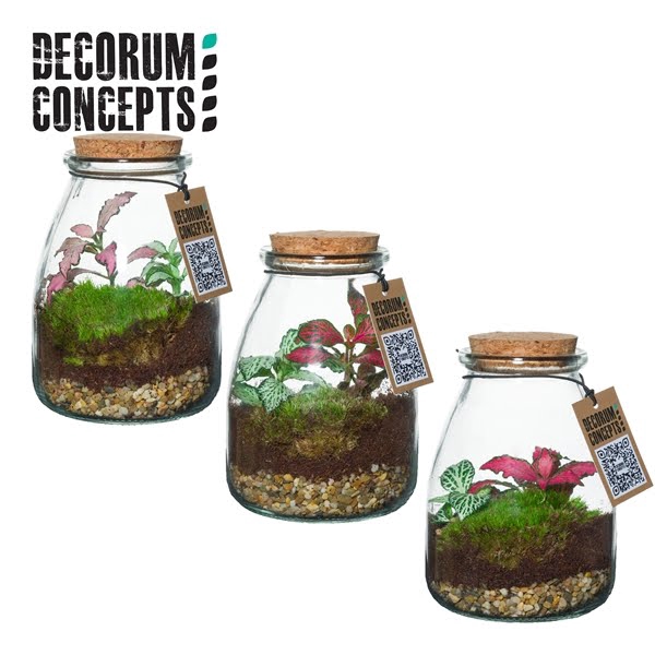 Terrarium IO (Decorum concepts)