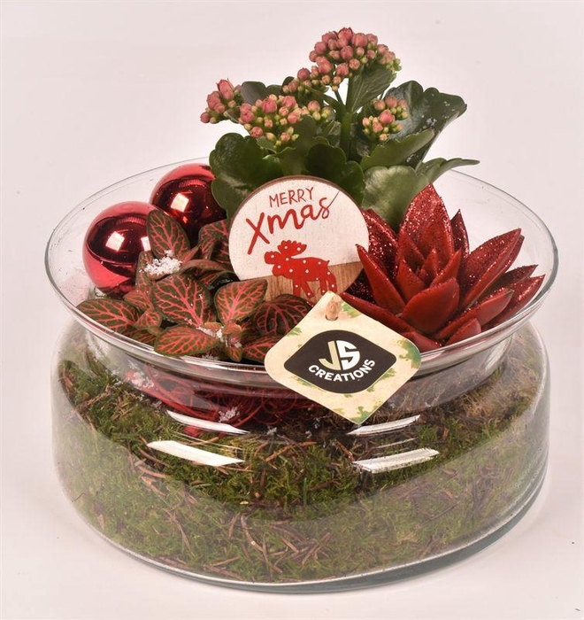 <h4>Glas schaal met hals 20 cm</h4>