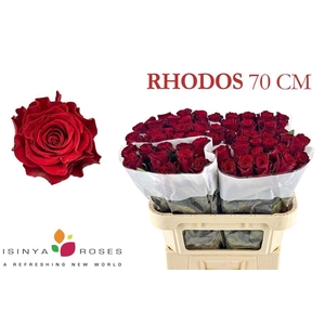 R GR RHODOS