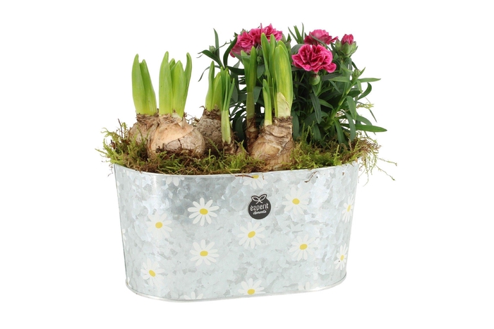<h4>11381: Outdoor spring arrangement</h4>