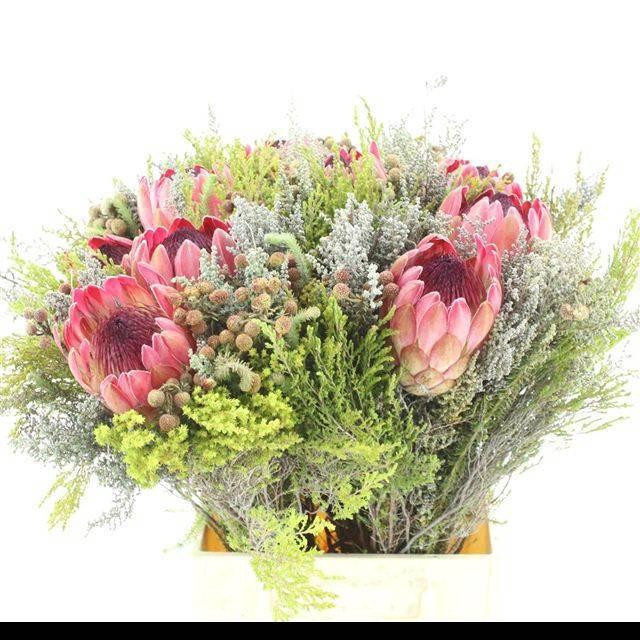 <h4>ALLERHEILIGENBOEK BS</h4>