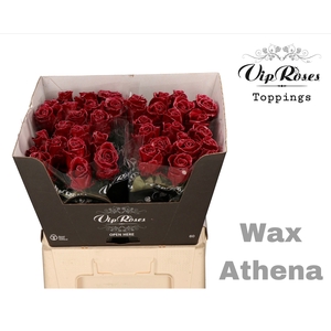 R GR WAX BORDEAUX (ATHENA) x40 (60cm)