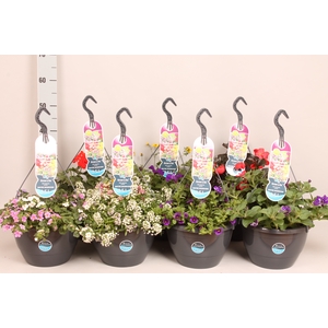 Hangpotten 27 waterreservoir Divers