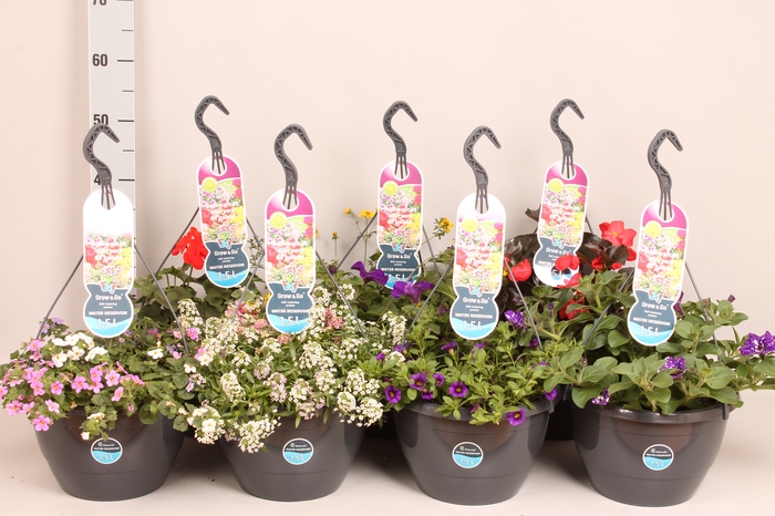 <h4>Hangpotten 27 waterreservoir Divers</h4>