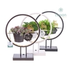 Arrangementen kamerplanten groen H% FC-22.1346FDH