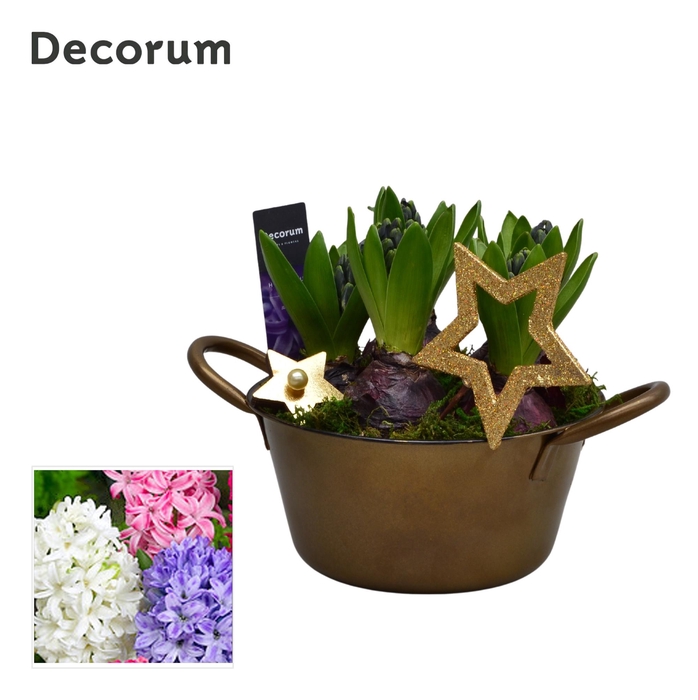 <h4>Hyacint Golden Bol en émail HL15512 [SHINY & SPARKLING]</h4>