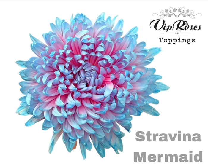 <h4>CHR G STRAVINA Paint MERMAID</h4>