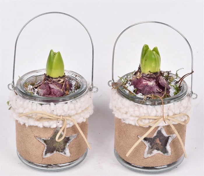 <h4>glas met leer en metaal hendel 10cm</h4>