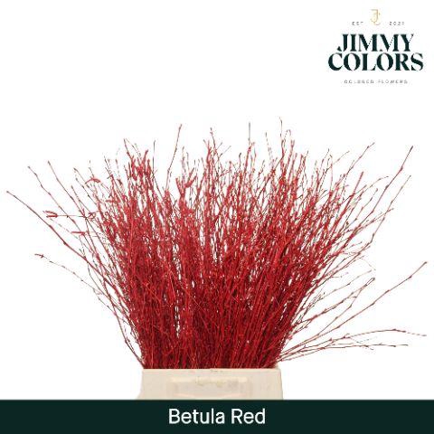 <h4>Betula L60 Red</h4>