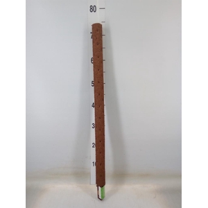 Decoratie  ..Klimstok composteer H%